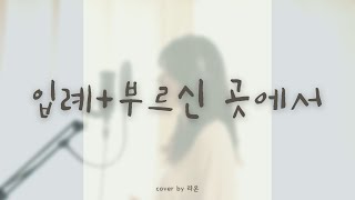 [ccm커버]-입례+부르신 곳에서-라온