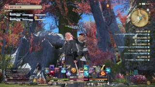 【　FF14   】やるよ！ Lv21 呪術師