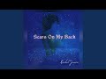 Scars On My Back