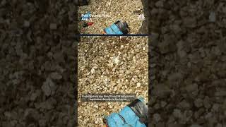 Tennessee authorities found 14 IEDs in man's home during arrest