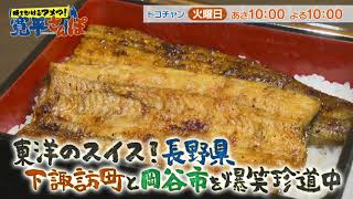 時をかけるアメマ！寛平さんぽ～長野 岡谷市編～30秒動画