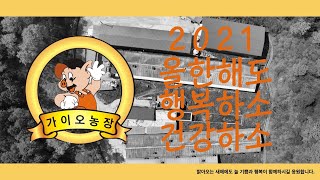 밝아오는 새해에도 늘 기쁨과 행복이 함께 하시길 응원합니다.(2021년 신년영상)