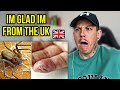 Brit Reacts To | The Most Dangerous Animals In America 🇺🇸😵