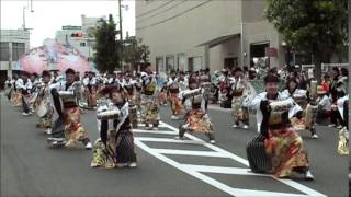 銭形よさこい2015　よさこい演舞蓮　ほろろ