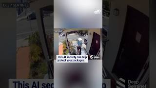 Deep Sentinel offers AI-powered security systems that can help package thieves in real time.