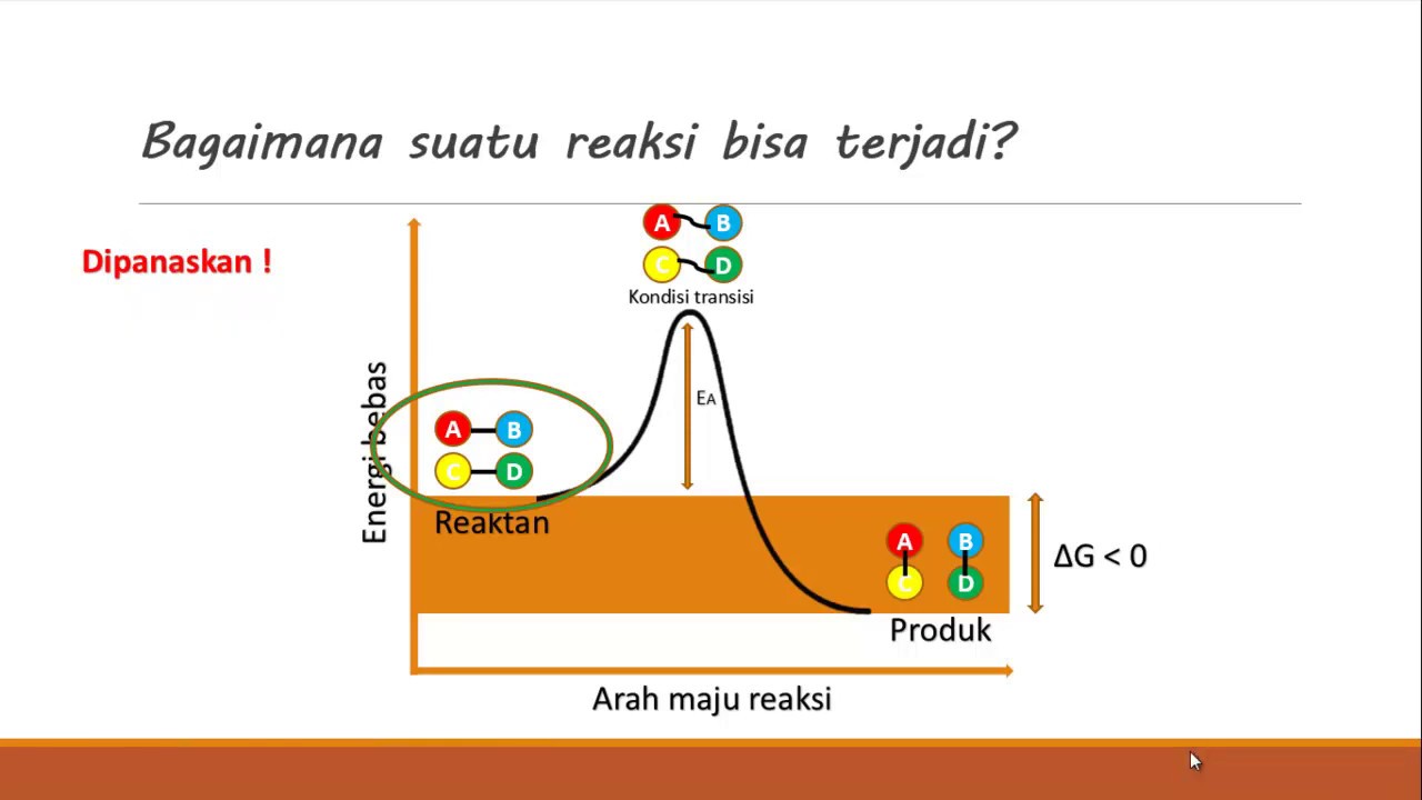 ENZIM PART 1 : STRUKTUR DAN FUNGSI ENZIM - YouTube