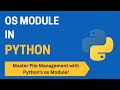 41. 📂 Python os Module Tutorial for Beginners