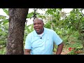 Hardware & Lumber Customer Rohan Green Diaspora Testimonial