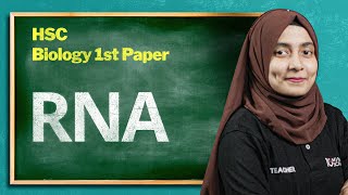 RNA | Biology 1st Paper | HSC to Admission