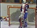 nhl fights 41