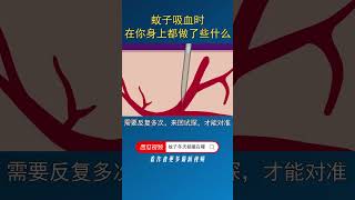 蚊子吸血时，在你身上做了什么，简直意想不到#科普 #涨知识 #shorts