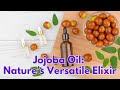 Jojoba Oil: Nature’s Versatile Elixir