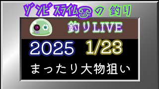 ｿﾞﾝﾋﾞｽﾗｲﾑௐ が釣り中ライブ配信中！