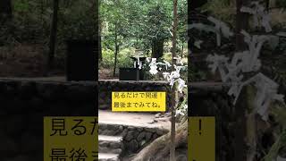 霧島神宮裏手にある山神社。最近は少しずつ認知され有名です。開運、幸運を求めて参拝してます。是非行ってみてね。# 九州 #霧島神宮#参拝#パワースポット#山神社#神社#スピリチュアル#旅#開運#幸運