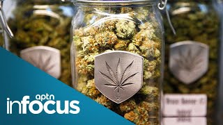 First Nation wants to become ‘Tim Hortons of Cannabis’ | APTN InFocus