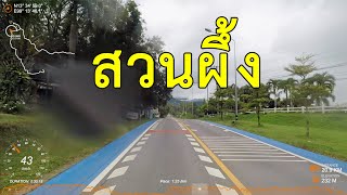 [Driving 2x] ขับรถ เที่ยว ชมวิว สวนผึ้ง | Driving in Suan Phueng