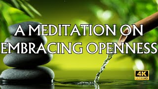 Embracing Openness: A Guided Meditation for Mindfulness