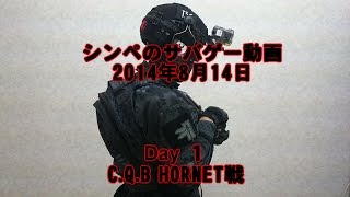 シンペのサバゲー動画CQB Hornet戦