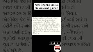 જાણો શિયાળામાં એલોવેરા જેલ લગાવવાથી શું થાય છે#શિયાળો#એલોવેરાજેલ