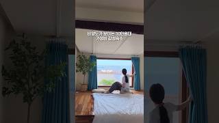 🌴 협재숲 [안거리]📍 제주시 한림읍 한림로 421