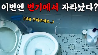 변기에 뭘 했다고!? | 하수구 대마왕 😈