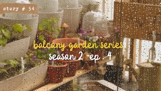 👩🏻‍🌾 Growing Vegetables in My SMALL BALCONY GARDEN | Transplanting | DIY Stand | Tour | S2 Part 4