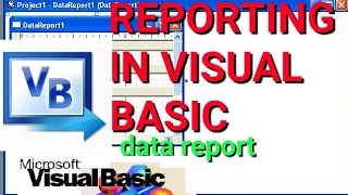 Data report in visual basic || visual basic