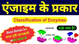 एंजाइम का वर्गीकरण | Classification of Enzymes | types of enzymes in hindi | enzyme ke prakar | bio