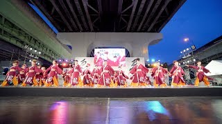 [4K] 紀州龍神　泉州YOSAKOI ゑぇじゃないか祭り 2019