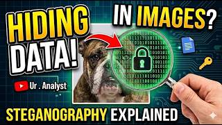 Steganography In Kali Linux | How TO Hide Data in an image | Steghide Tutorial | Ur Analyst