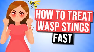 How To Treat Wasp Sting in 2024