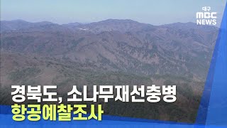 [대구MBC뉴스] 경북도, 소나무재선충병 항공예찰조사