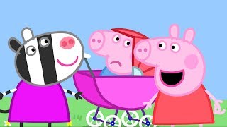 Peppa Pig Français | 3 Épisodes | Alexandre le Petit Cousin | Dessin Animé Pour Enfant #PPFR2018