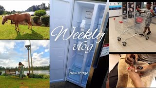 FINALLY A NEW FRIDGE IS HOME/weekly vlog #basicposh #vlog #fridge