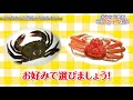 【いよいよ解剖！】おうちで食育『エビ編③』いろんなエビをさばいてみよう！