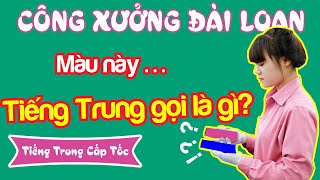 Bài 11: Màu sắc, công xưởng, đời sống... | TIENG TRUNG CAP TOC