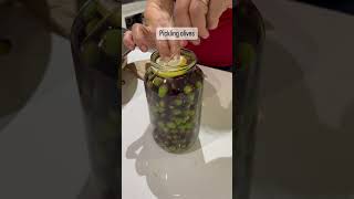 Pickling olives #gardening #olives #growyourownfood #garden #backyardgardening #selfsufficiency