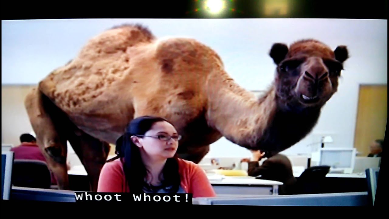 Geico Hump Day Commercial By Kids