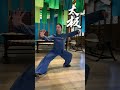 tai chi 行走太极，舒展身心，传承古老智慧，弘扬太极之美 taichi kungfu taichiquan 功夫 太极 martialarts wushu taiji 太极拳