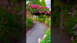 Garden 🪴 #awesome #garden #flowers #short #youtubeshorts #nature #viral #video #travel #shorts