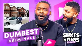 DUMBEST CRIMINALS! | ShxtsNGigs Reacts