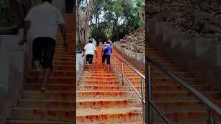 srivari mettu Kali nadaka margam #tirumala