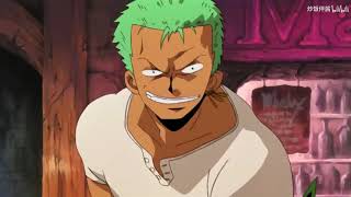 【罗罗诺亚·Zoro/爆燃/成长之路】比野心更重要的东西-伙伴！