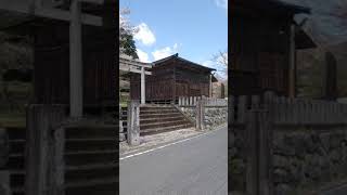 佐野市作原 いい神社 サクラ咲いてる 選挙ポスター貼り きむら大