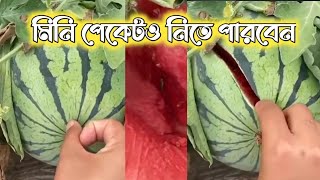 ৩০-৪০৳ মধ্যে বারোমাসি তরমুজ | লাল,হলুদ এবং কালো | বাণিজ্যিক পেকেটও আছে | লাগলে কল করুন @seedbazar