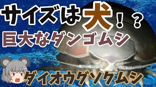 【ゆっくり解説】まるで王蟲！？海底に住む巨大なダンゴムシ　ダイオウグソクムシ　【ねずみさんと海のいきもの＃１１】