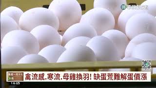 雞蛋每台斤漲3元喊卡　陳吉仲:農委會沒涉入｜華視台語新聞 2023.02.07