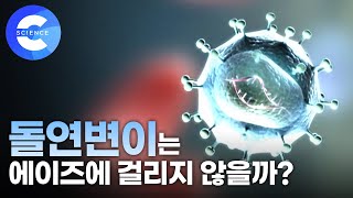 돌연변이는 왜 에이즈에 걸리지 않을까?