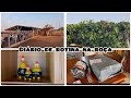 Nossa MANHÃ na ROÇA | ARRUMEI A 🏡 | CUIDANDO do JARDIN | Abrindo COMPRAS 🛍️ | 🏡 dos pássaros 🐦