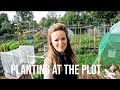 Planting On The Plot | Allotment Jobs | Planting In The Polytunnel | Allotment Diary | Allotment UK